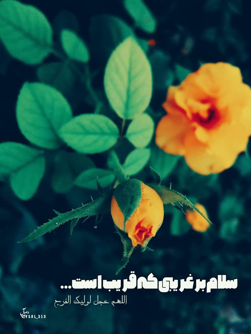 سلام به ارباب مهربانی ها